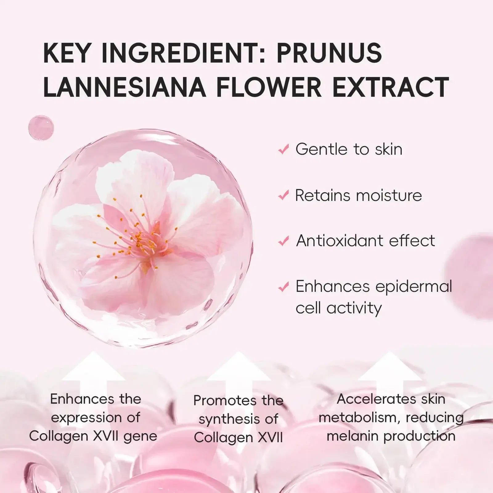 Long Lasting Makeup Setting Spray Sakura Face Mist Oil Control Waterproof Moisturizing Quick Fixer Non Sticky Dewy Finisher