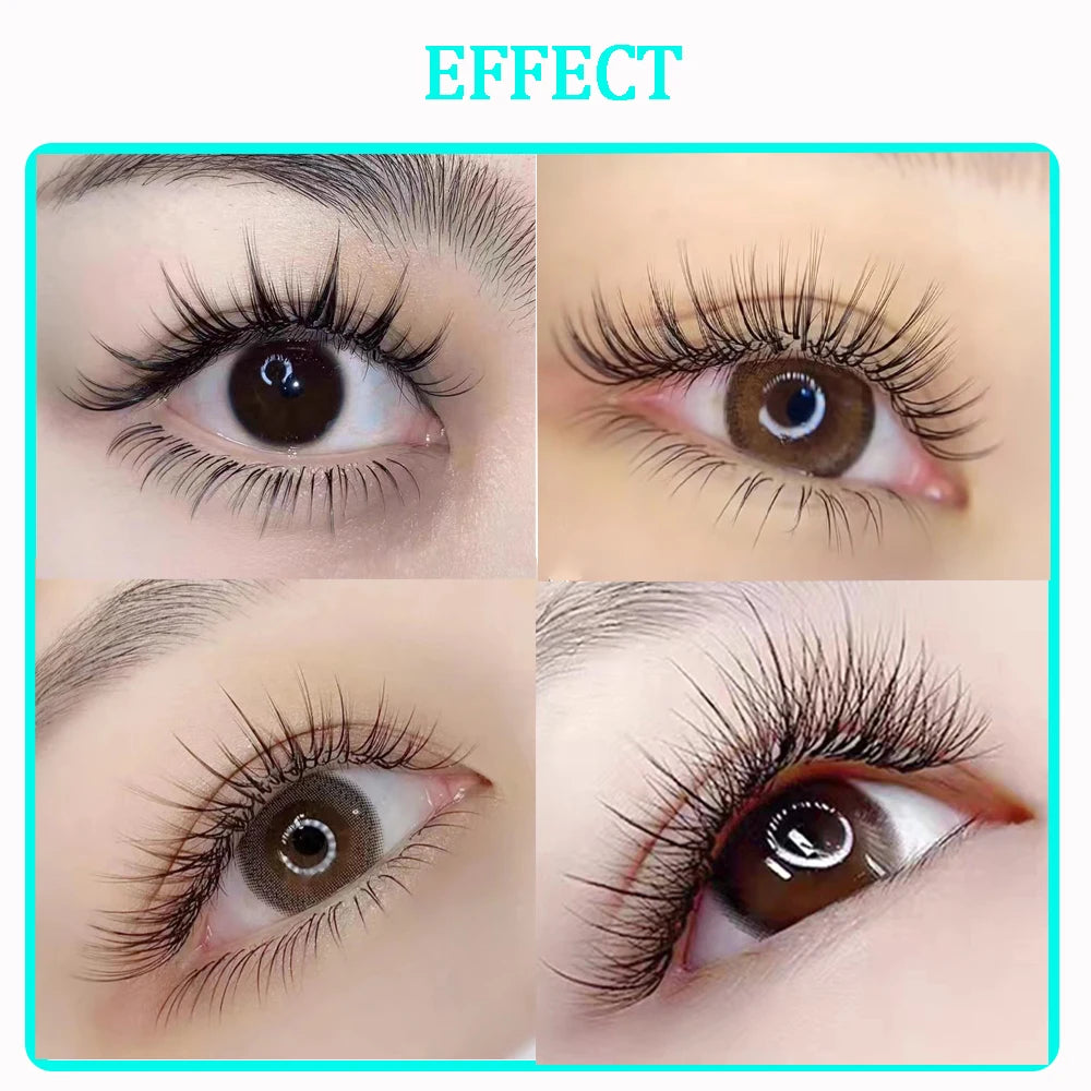 Camellia False Eyelash Extension Natural Soft Auto Fan Bloom Magnetic Easy Fanning Individual Lashes Faux Mink Silk Fake Lashes