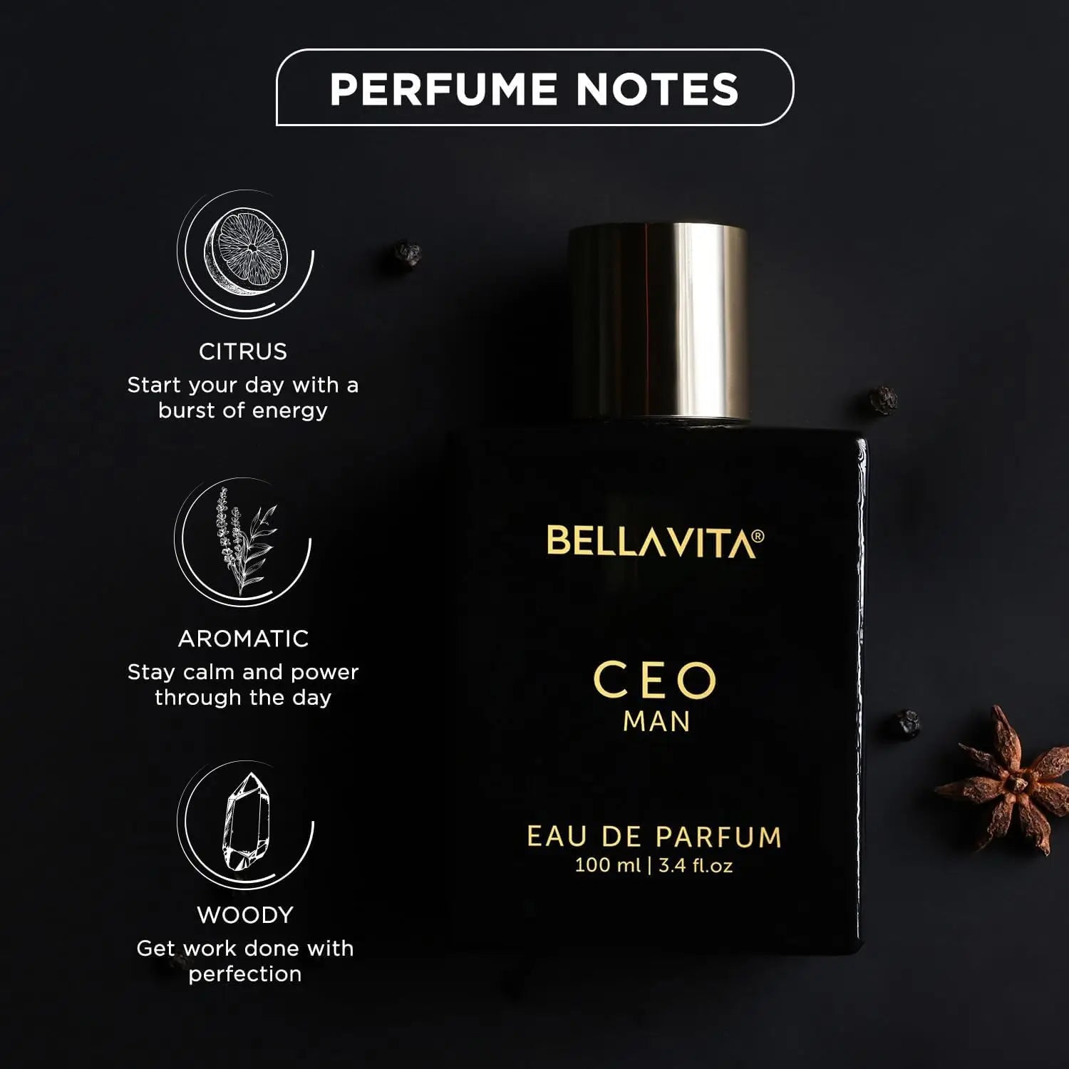 Luxury Men’s Perfume Spray – Fresh Citrus & Warm Woody Scent with Long-Lasting Premium Feel (100ml)