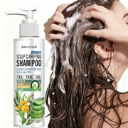 Water Ice Levin Sulfate-Free Scalp Clarifying Shampoo with Tea Tree Oil & Aloe – Hydrates Dry Scalp, Shines for All Hair Types