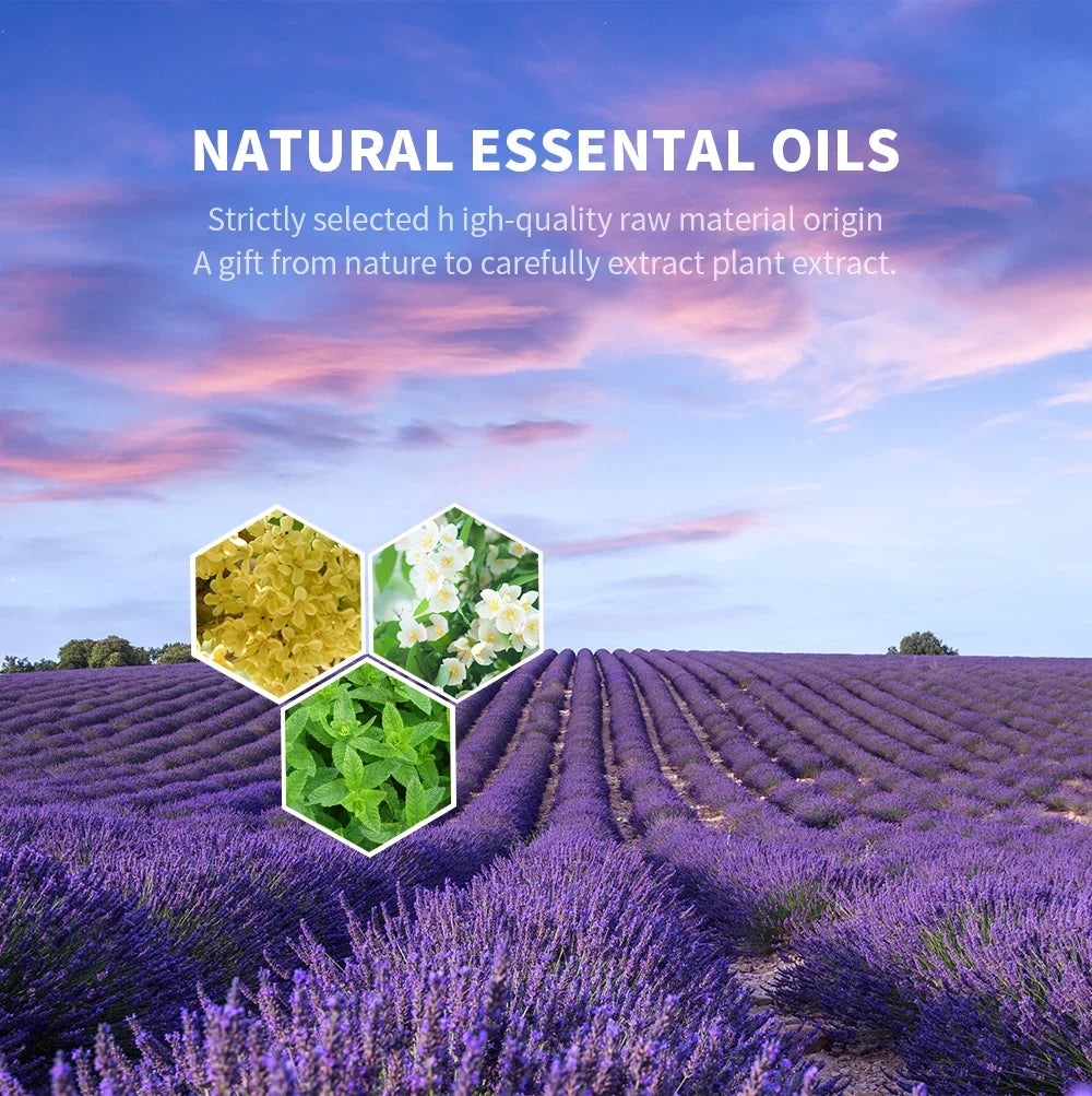 NAMSTE 500ML Aromatic Oils Perfume Essential Oil Pure Plant Fragrance Oil Home Air Freshener Fragrance Diffuser Special Oil