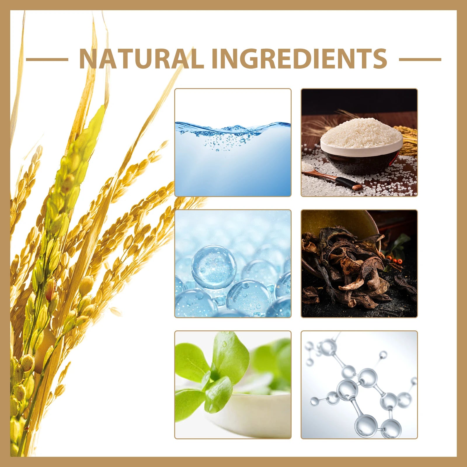 Rice Toner Moisturizes, Brightens, Shrinks Pores, Prevents Dryness, Suitable For All Skin Types And Facial Skincare Products
