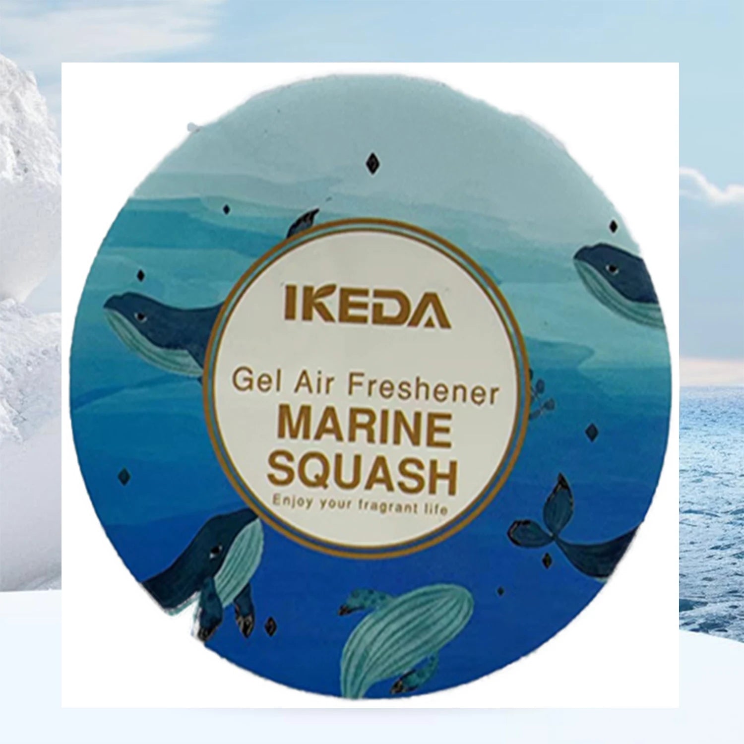 Car air freshener: Peach scented round gel air freshener | deodorizes odors | car fragrance | Long-lasting fragrance | for cars
