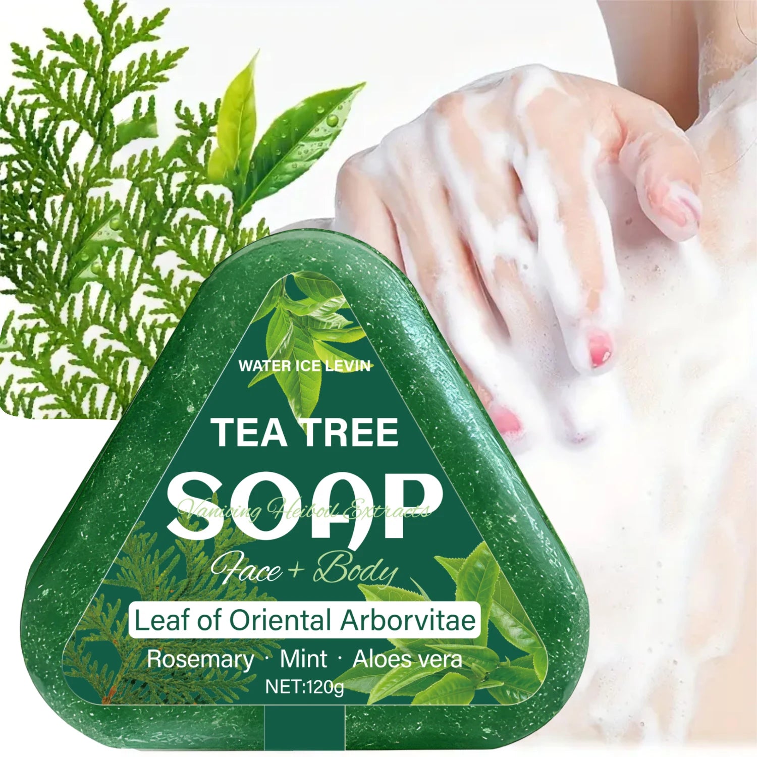 Tea Tree Soap (Face+Body): Oriental Arborvitae Leaf, Rosemary/Mint/Aloe, Gently Hydrates All Hair Types