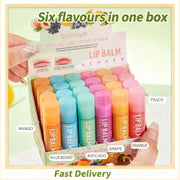 NEW 24PCS/BOX Fruit Series Lip Balm Set Honey Grape Avocado Moisturizing Repair Anti-Cracked Non-sticky Lip Balm Lips Skin Care