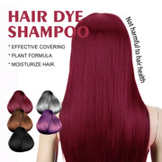 5Colors Hair Dyeing Shampoo 3in1 Rapid Hair Dyeing Repair Dry Cleaning Nourishing Hair Roots Restoration Coloring Black Shampoo