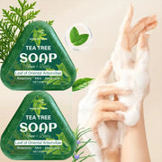 Tea Tree Soap (Face+Body): Oriental Arborvitae Leaf, Rosemary/Mint/Aloe, Gently Hydrates All Hair Types