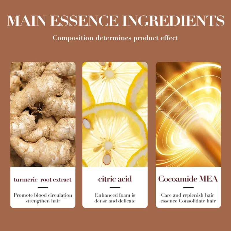 500ml Ginger Anti-Hair Loss Shampoo Long-lasting Fragrances Shampoo Deeply Moisturizing Smooth Set With Comb Gift