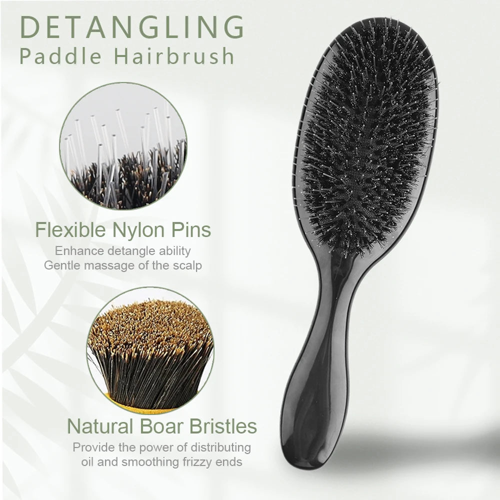 ARLANY Boar Bristle Hair Brush Massage Comb Hair Styling Tool Hair Beauty Salon Accessories Hairdressing Hair Extensions Tool