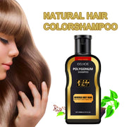 Polygonum Multiflorum Hair Shampoo Cover Gray White To Black Cleaning Dandruff Relief Itch Moisturizing Herbal Darkening Shampoo