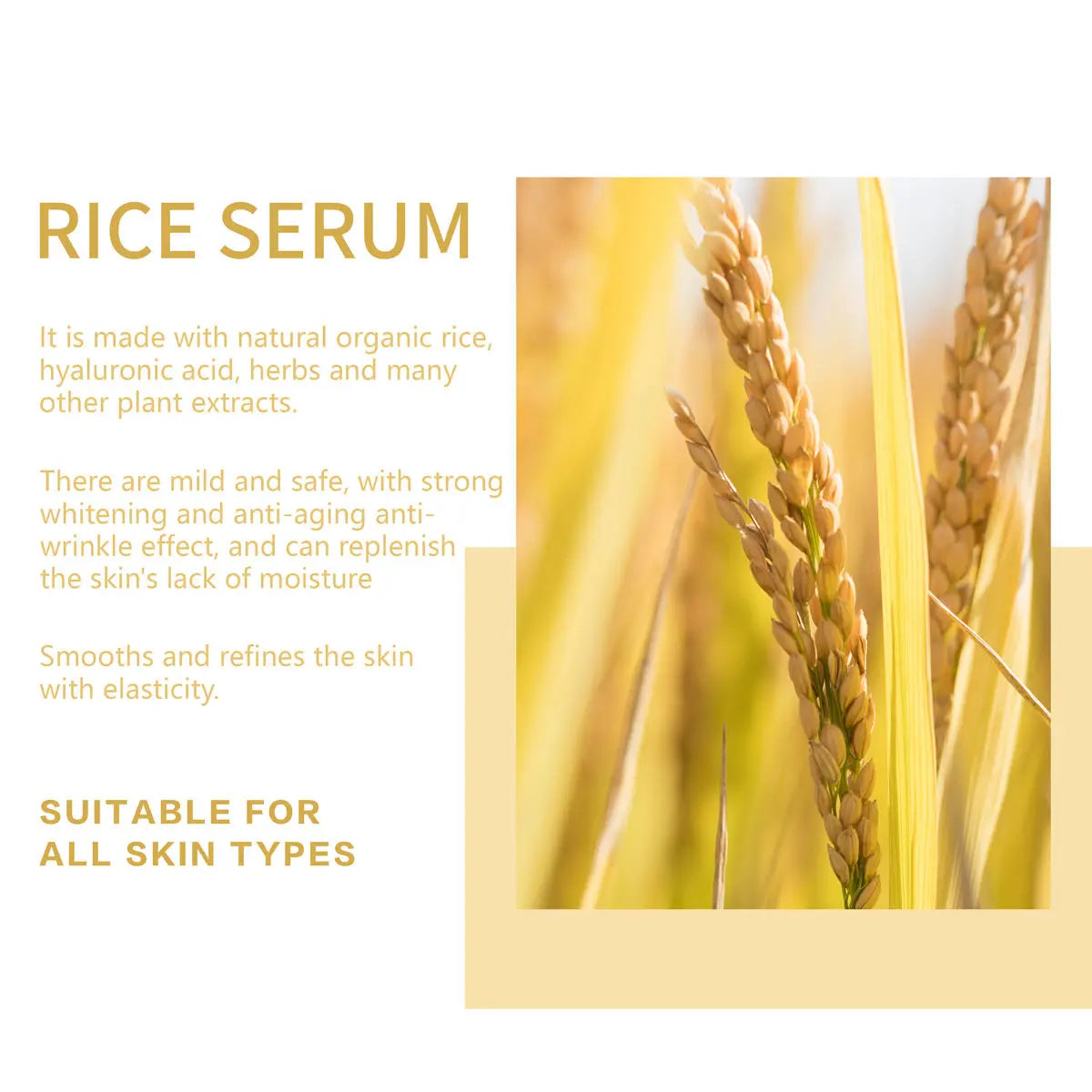 Rice Face Serum Niacinamide Hyaluronic Acid Soothing Brightening Deep Moisturizing Firmness Facial Essence Non-Comedogenic Serum
